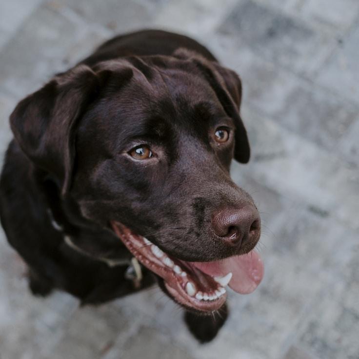 Mika Rao, Client Relations Director, discussing corporate gifting strategy with business clients